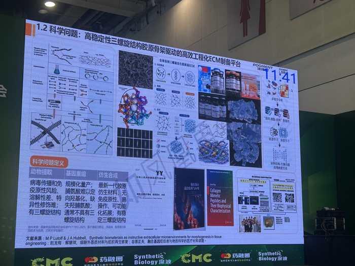 LivingPHOENIX slide at CMC-China 2026 comparing animal-extracted, gene-recombinant and biomimetic triple-helix collagen in three columns